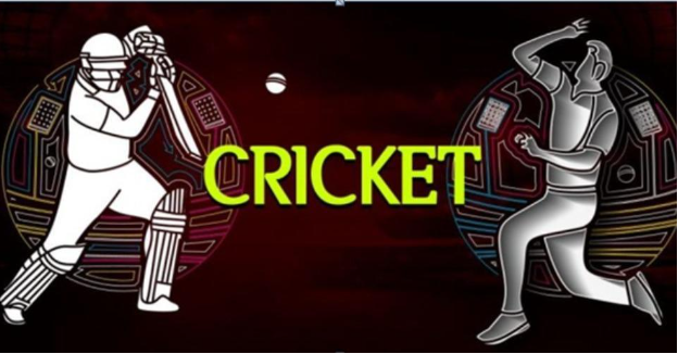 Top 3 Leagues to Bet on in Online Cricket