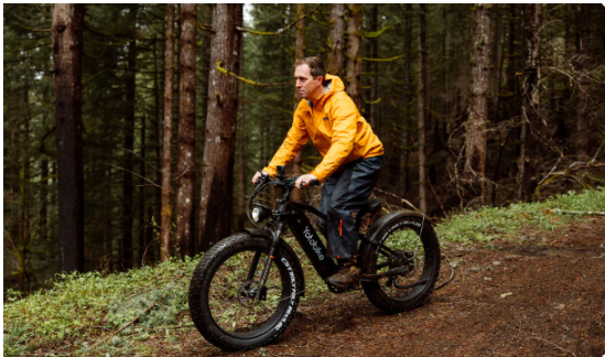 Why You Should Get An Electric Bike For Adults