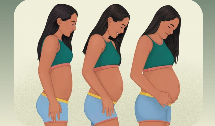 Your Pregnancy: What to Expect Month by Month