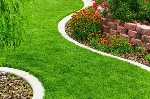Dealing with Maryland’s Climate Challenges: Tips for Successful Landscape Installation