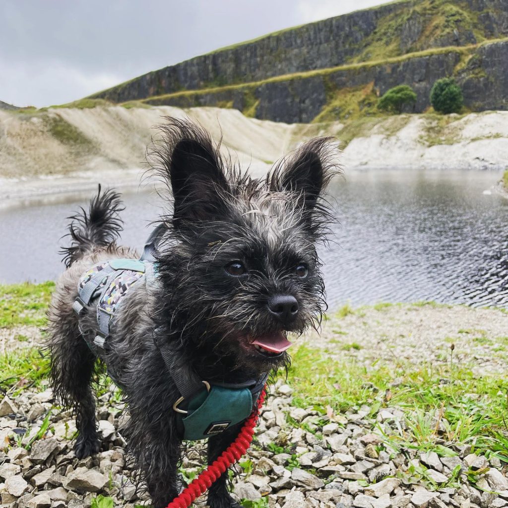 Who Is Rory St. Clair Gainer? Full Biography 2024