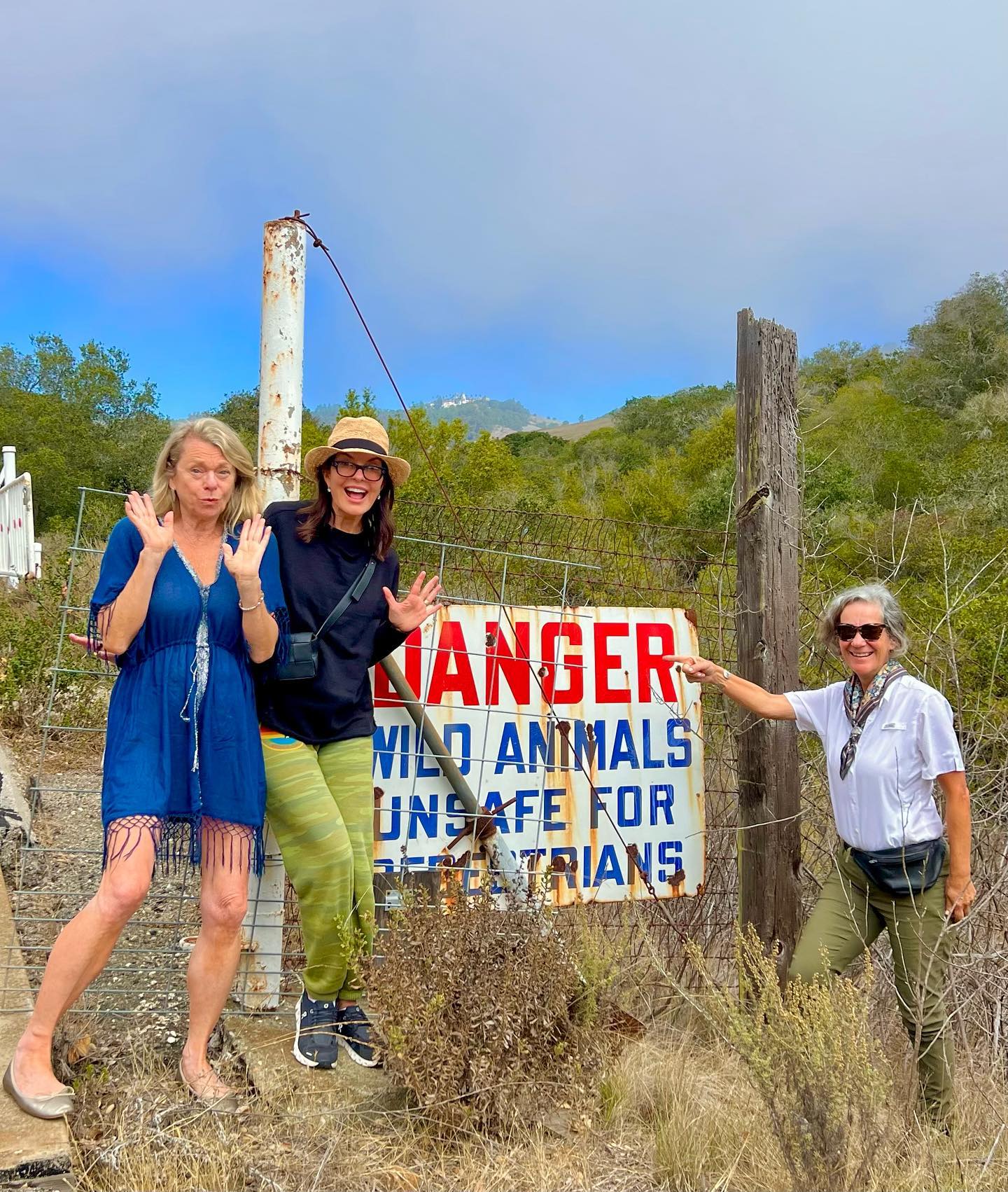 Sela Ward Net Worth in 2024: You Won't Believe the Number