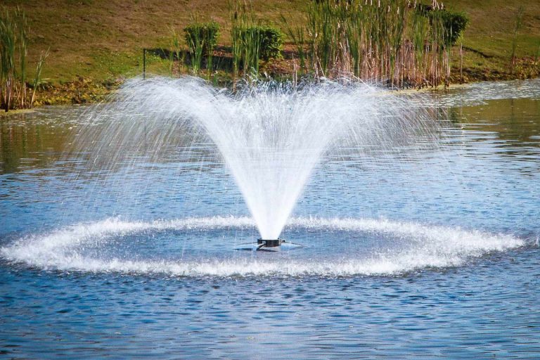 How Aerating Pond Fountains Improve Fish Health and Pond Ecosystems