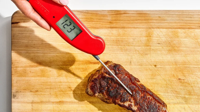 Navigating the World of Meat Thermometers: Innovations and Consumer Trends
