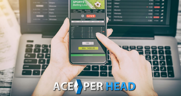 Best Pay Per Head Sportsbook