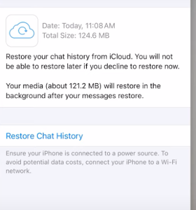 click restore chat history option