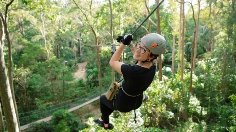 Adventure on Mount Tamborine: A Family’s Journey
