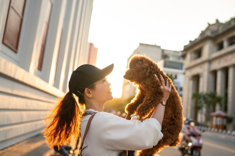 Elevate Your Pet Business with These Value-Added Service Ideas