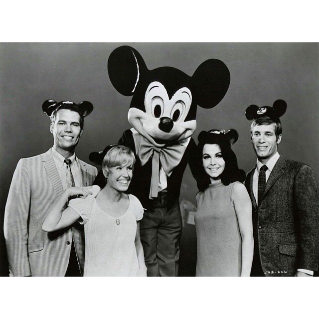 Annette Funicello Measurements: Height, Weight & More