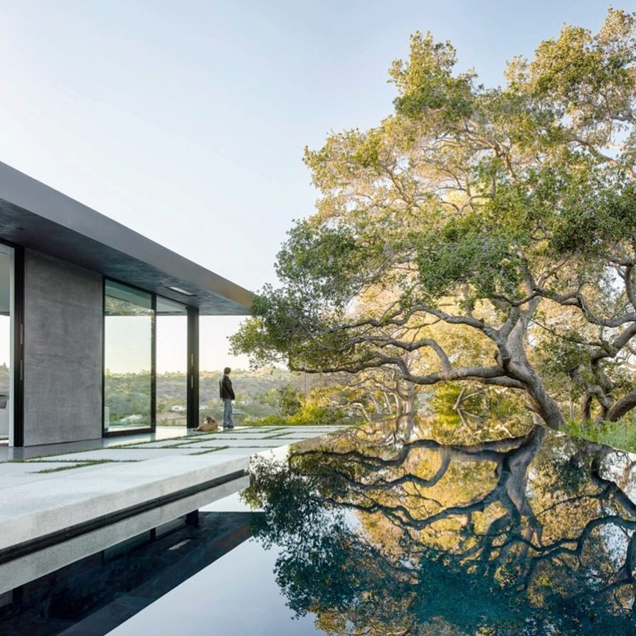 Susan Clark Net Worth: Latest Figures & Financial Details