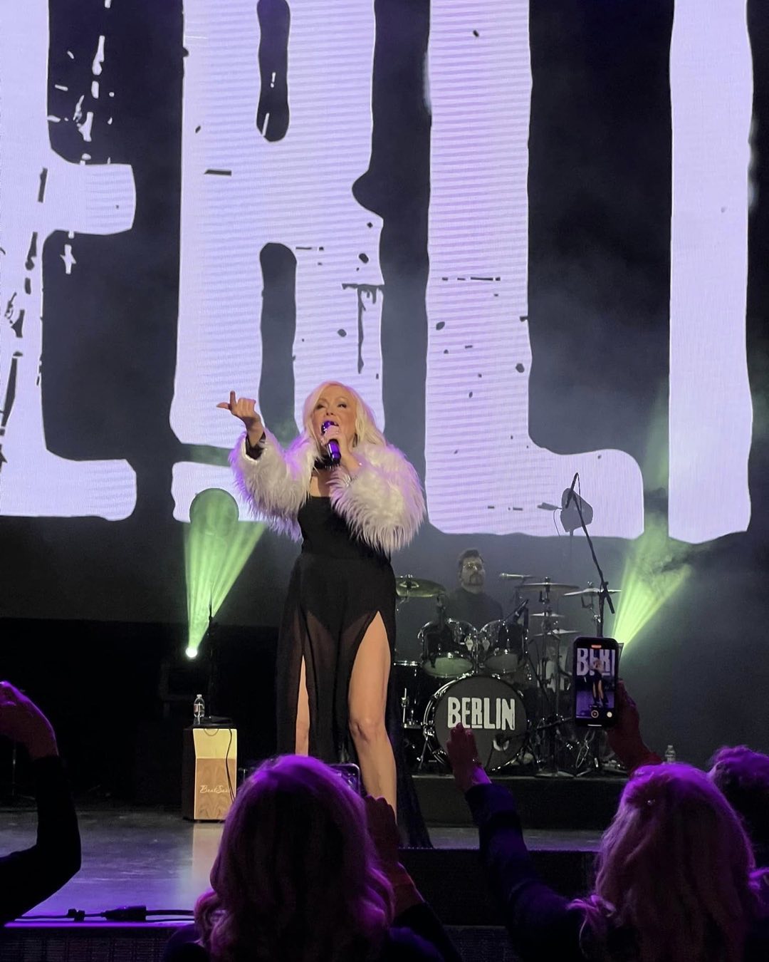 Terri Nunn Net Worth 2024: How Much Is She Worth Now
