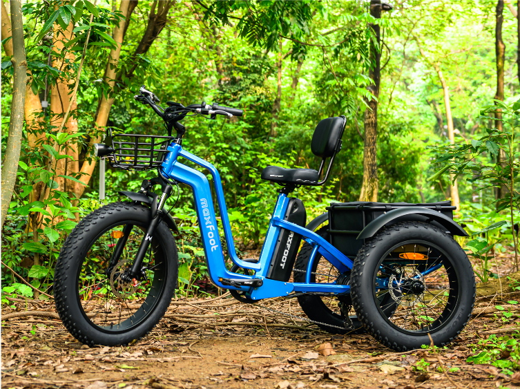 A New Way to Enjoy the Outdoors: Step-Through Fat Tire Electric Trikes for the Golden Years