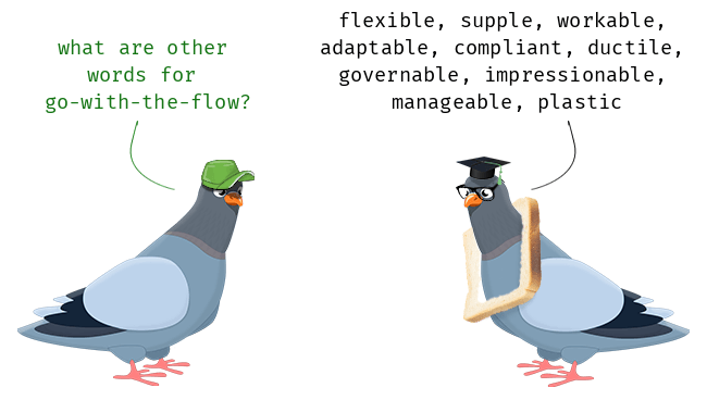 Synonyms of Go with the Flow