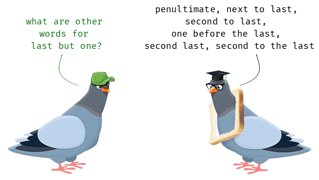 Last But Not Least Synonym