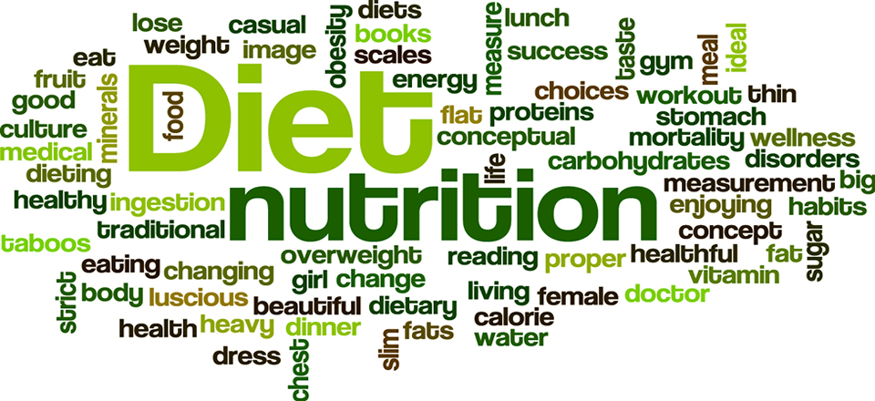 Synonym for Nutrition