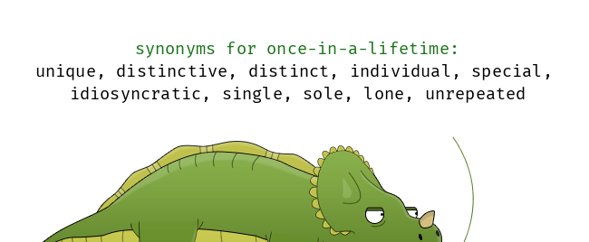 Once in a Lifetime Synonym