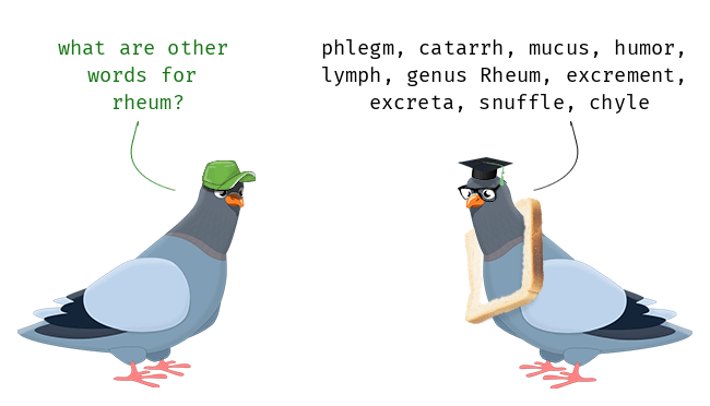 Rheum Synonym and Antonym
