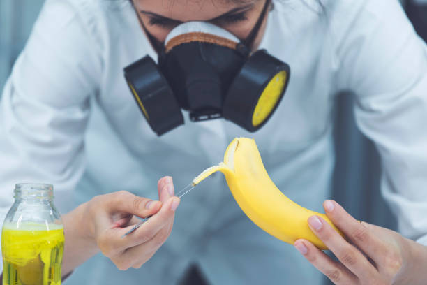 Lab-Banana.com Business