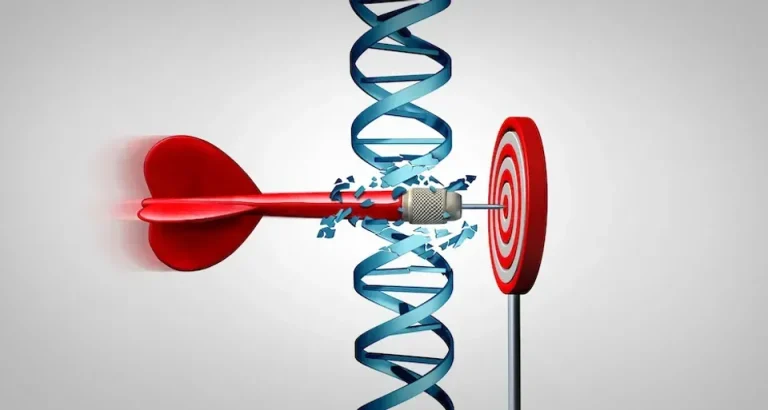 Understanding CLL Targeted Therapy and Its Impact on Quality of Life